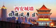 淫水直流图片中国陕西-西安城墙旅游风景区